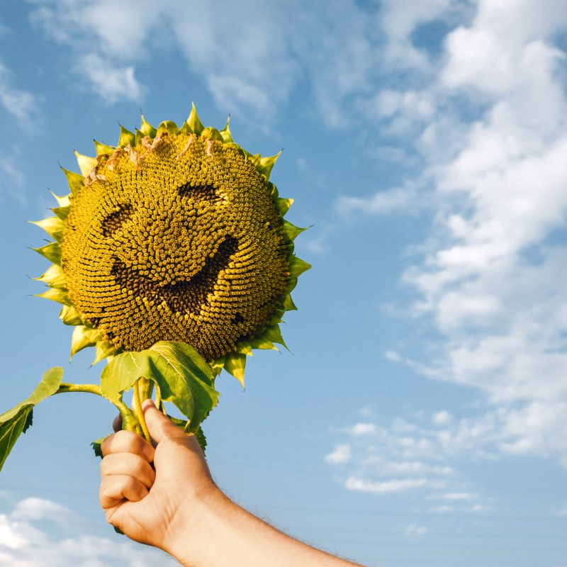 Sunflower in hand against sky in form of smiling emoticon